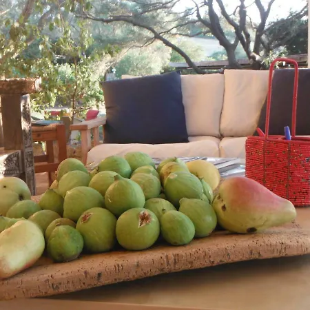 La Sasima Bed & Breakfast